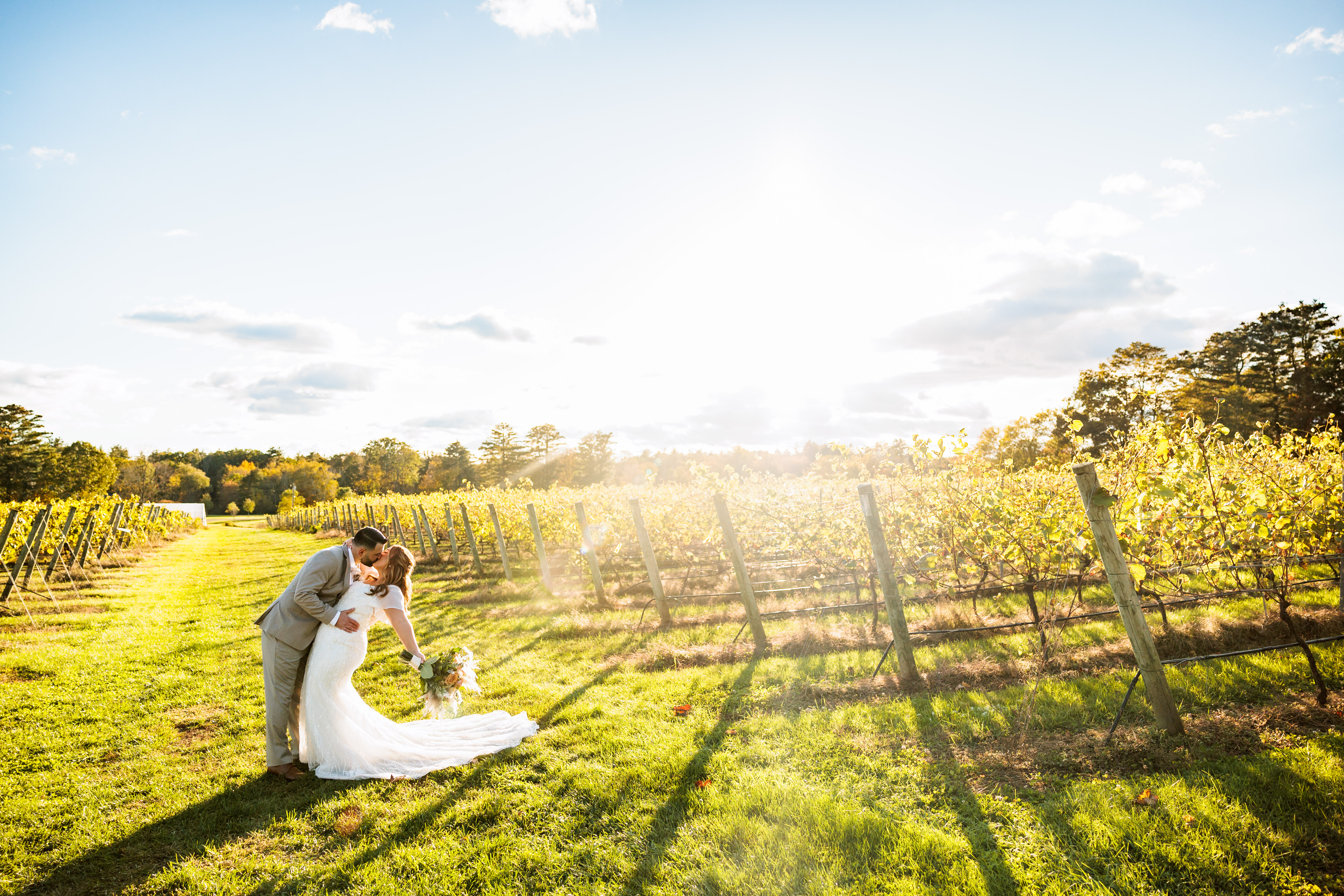 Flag Hill Winery